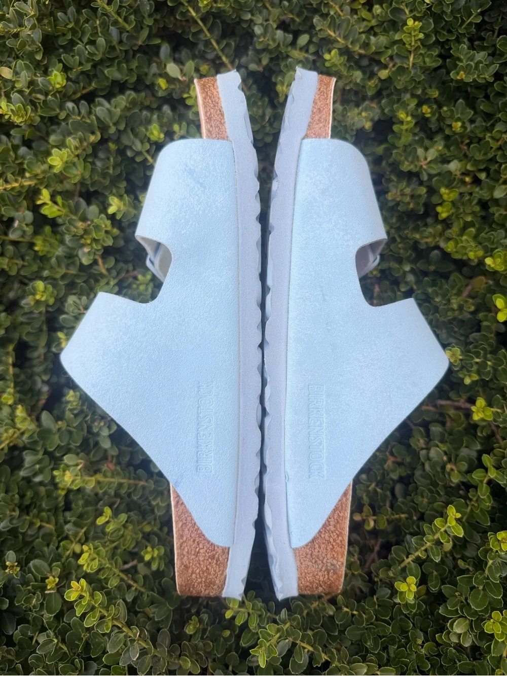 Birkenstock arizona vegan